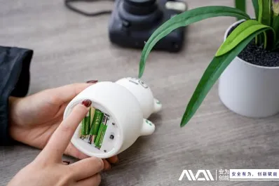 news-398-265 news-398-265