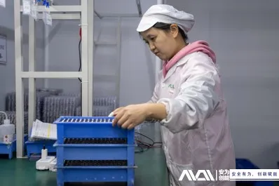 news-398-265 news-398-265